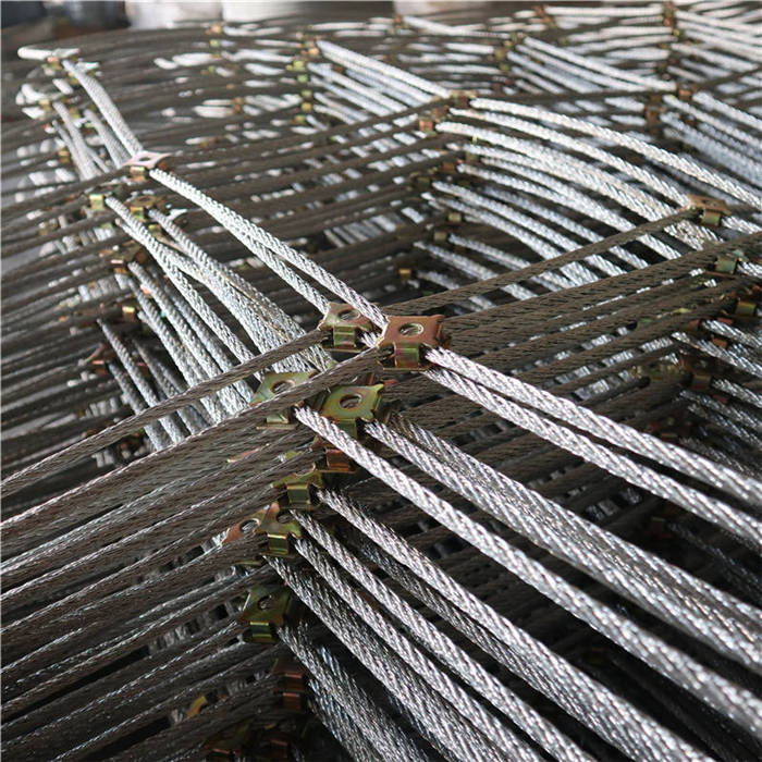 ����(d��ng)���o(h��)�W(w��ng)